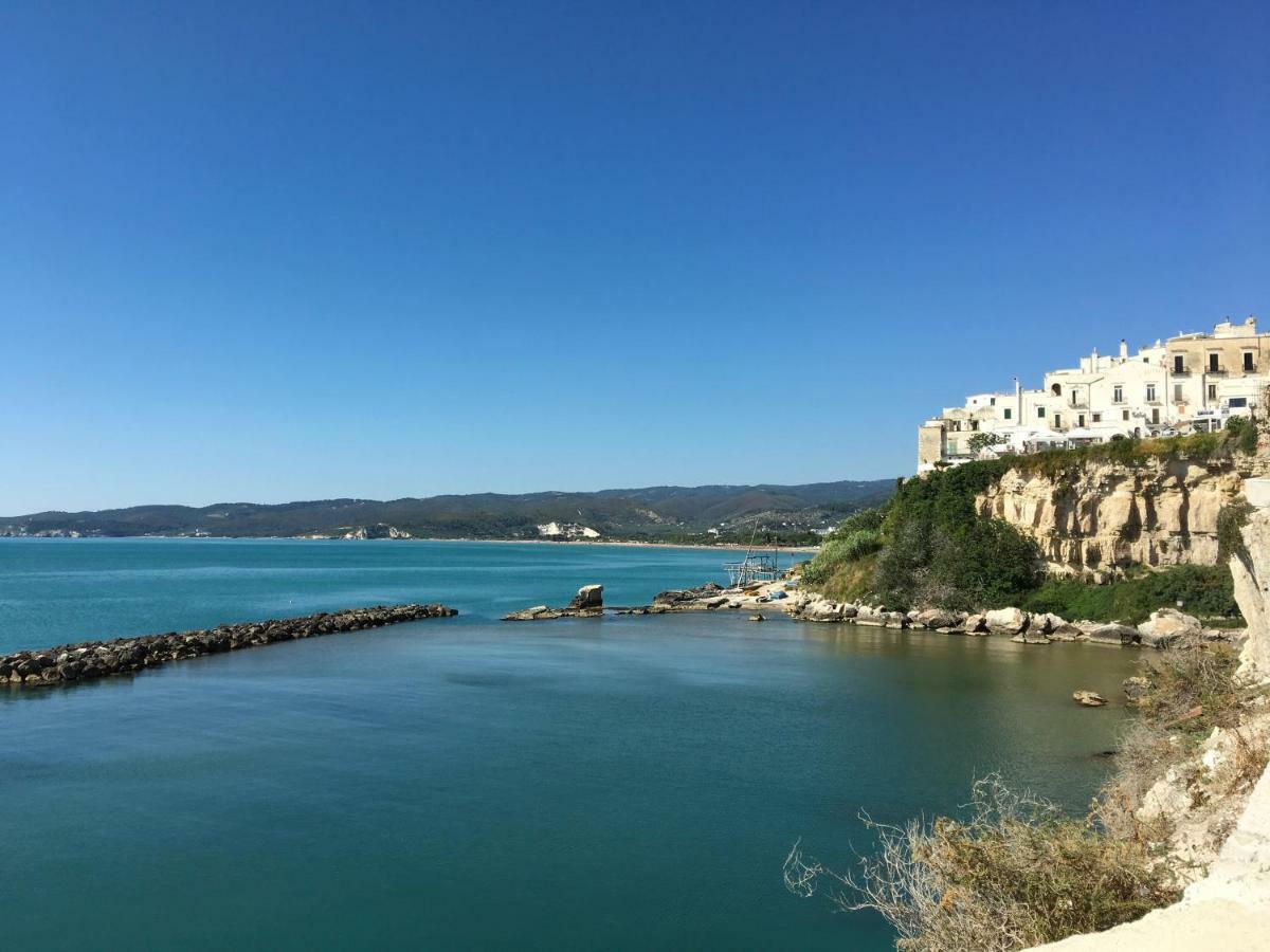 Appartement Dimora Nel Borgo à Vieste Extérieur photo